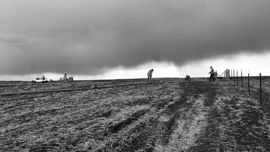 Strategic Stormwater & Sediment Control for Renewables