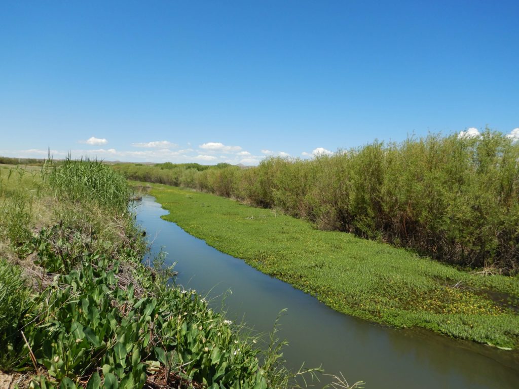 Stream & Riparian Area Assessments