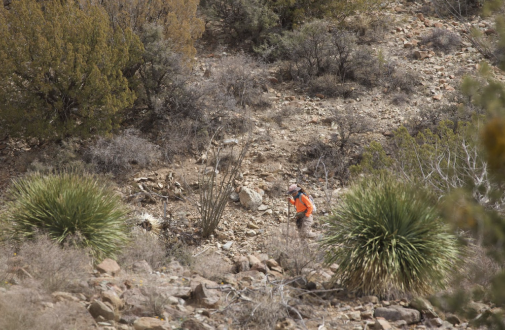 Ecosite Identification & Long‑term Monitoring