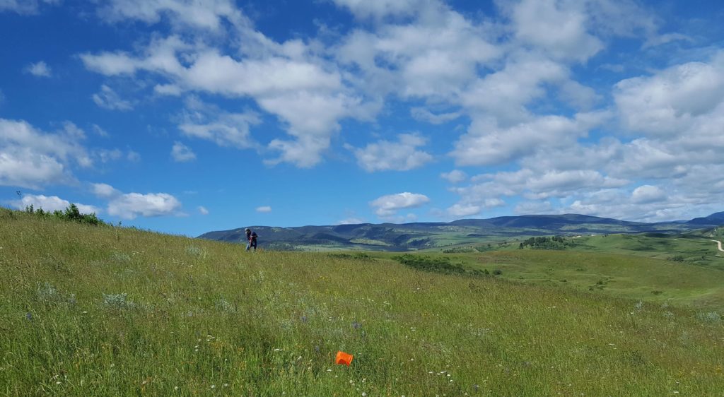 Watershed Rangeland Health Assessments
