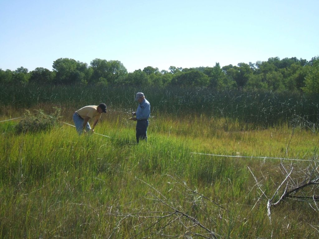 Hydrology & Water Resources Support