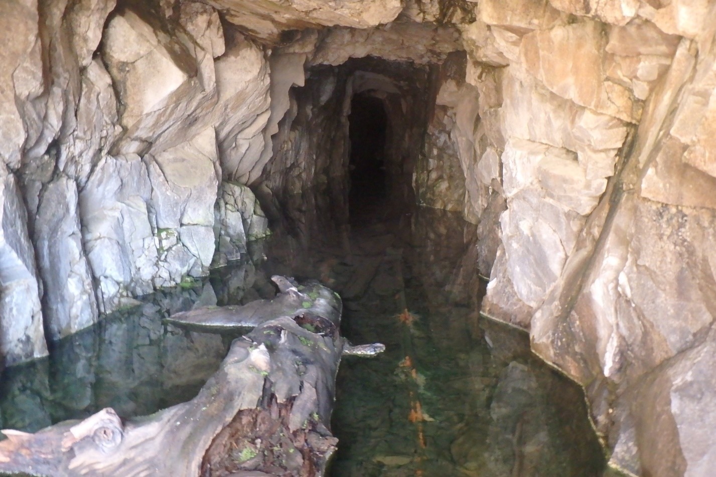 Stormwater Pollution Prevention Plan SWPPP Development