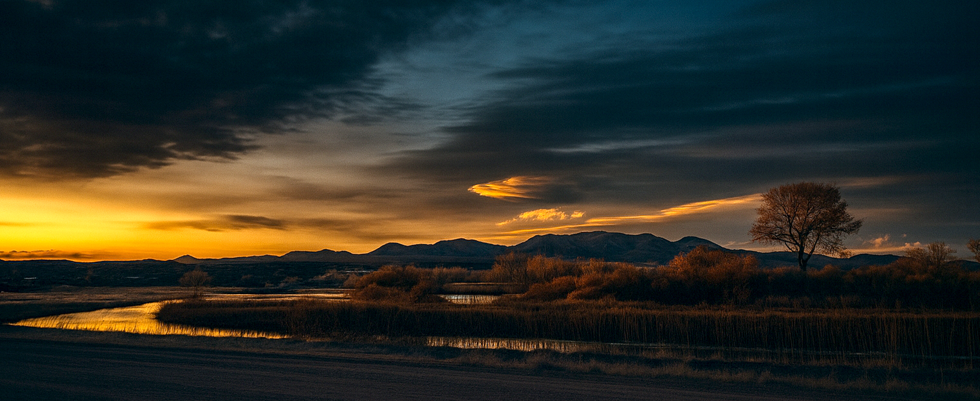 Environmental Management & Compliance