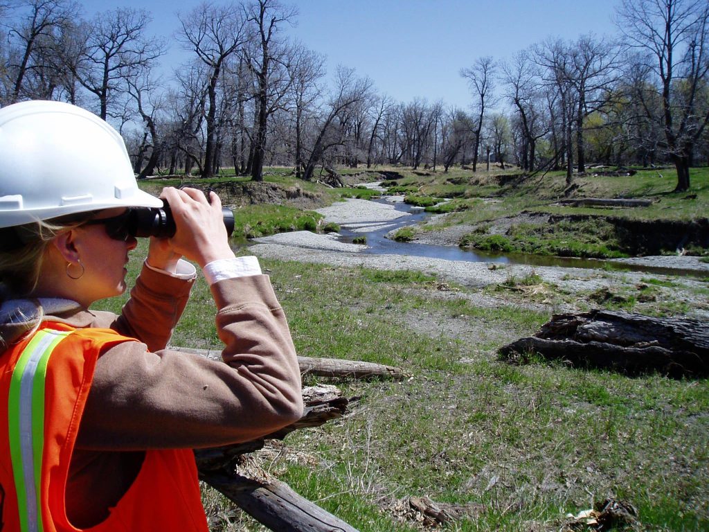 When Should You Schedule Wildlife Surveys for Your 2027 Project?