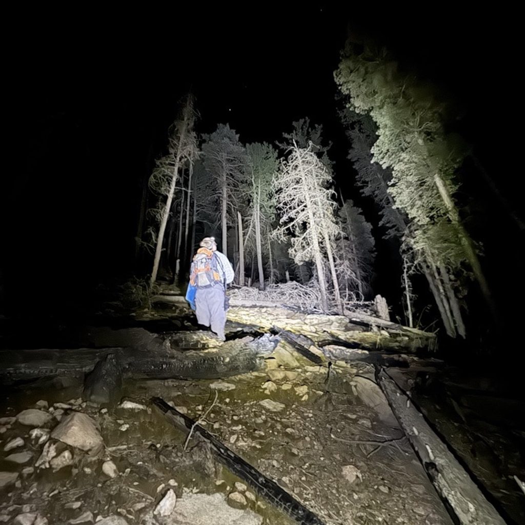 Person hiking in the forest at night illuminated by a light