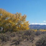 environmental regulatory compliance consulting