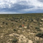 Grazing Lands Inventory Analysis and Planning Services
