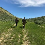 Sage-grouse Habitat Assessment Framework (HAF) Guidelines for Assessing Rangeland Health