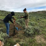 Grazing Lands Inventory Analysis and Planning Services
