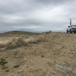 Integrated Weed Management Strategies for Successful Reseeding Programs