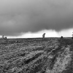 Stormwater Pollution Prevention Plan (SWPPP) Development