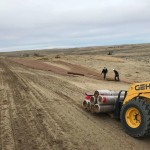 Integrated Weed Management Strategies for Successful Reseeding Programs