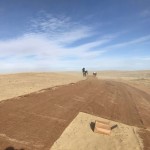 Development of Reclamation Strategies