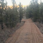 Development of Reclamation Strategies