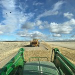 Wood/Straw Mulch Application