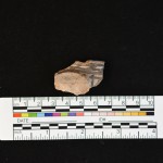 Pottery Analysis/Artifact Photography