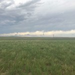 Pre-Disturbance Site Characterization