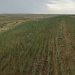 Pipeline & Infrastructure Seeding