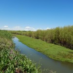 Wetland Habitat Quality Assessments