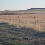 Rangeland Health Assessments