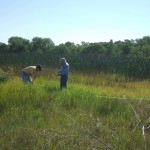 Wetland Delineation/Mapping