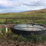 Stream & Riparian Area Assessments